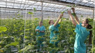 Фото из архива