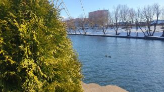 Фото из архива