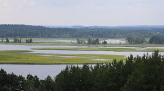 Фото из архива