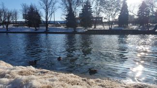 Фото из архива