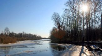 Фото из архива