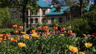 Фото из архива