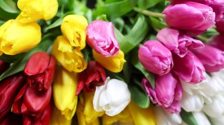 Фото из архива