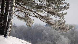 Фото из архива