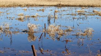 Фото из архива