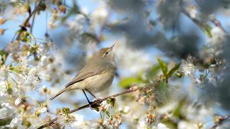 Фото из архива