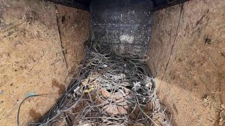 Фото УВД Гомельского облисполкома