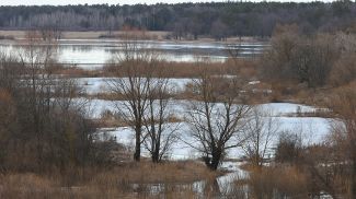 Фото из архива
