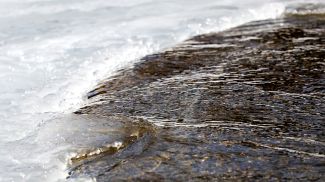 Фото из архива