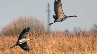 Фото из архива