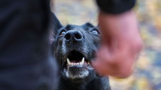 Фото из архива