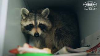 Скриншот видео БЕЛТА