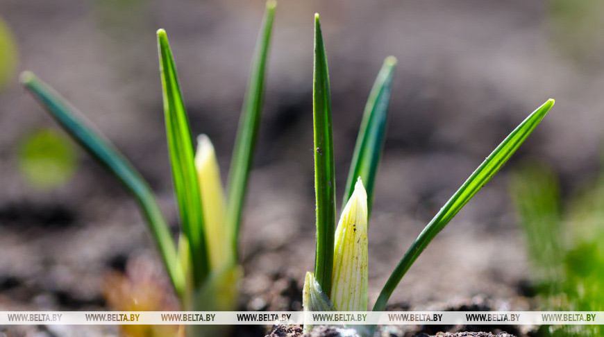 Фото из архива