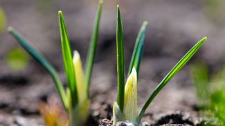 Фото из архива