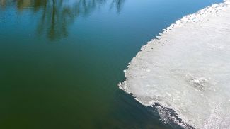 Фото из архива