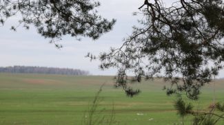 Фото из архива