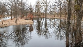 Фото из архива