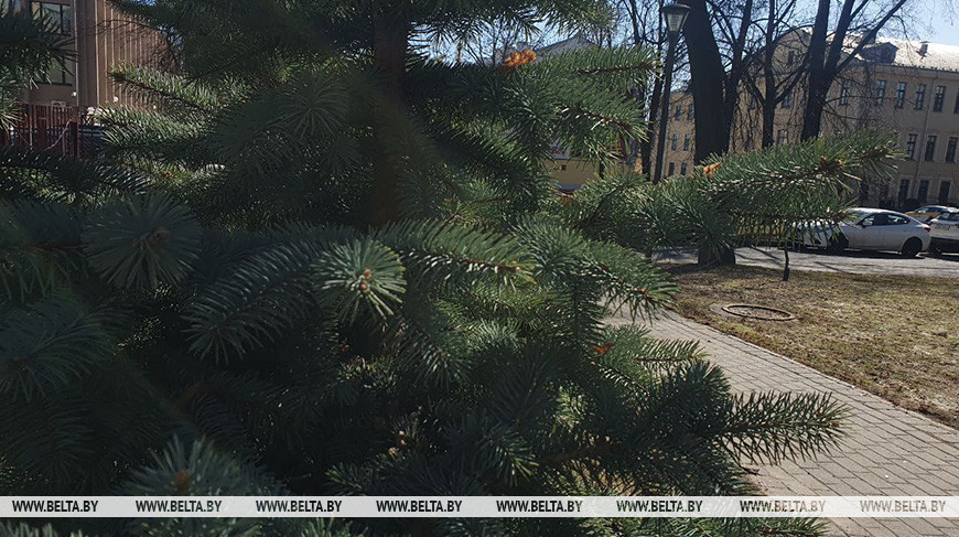 Фото из архива