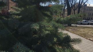 Фото из архива