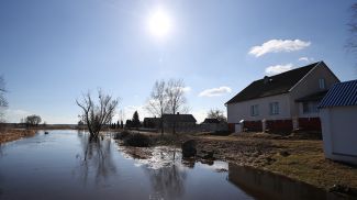 Фото из архива