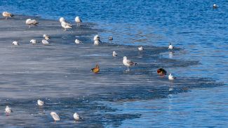 Фото из архива