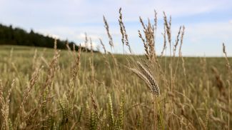 Фото из архива