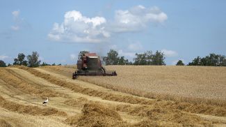 Фото из архива