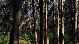 Фото из архива