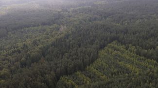 Фото из архива