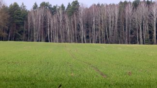 Фото из архива