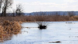 Фото из архива