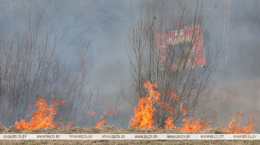 Более 900 природных пожаров произошло в Беларуси с начала года