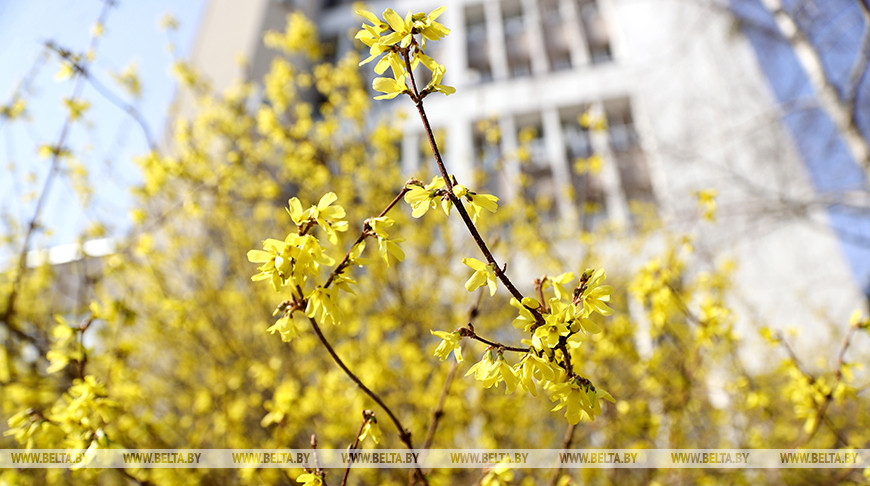 Тепло пока не уходит. Какой будет погода в Беларуси 28 марта
