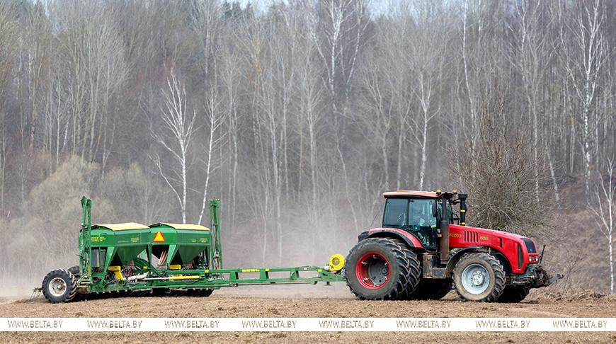 За новыми сортами - будущее. Какие вопросы структуры посевов страны сейчас на первом месте