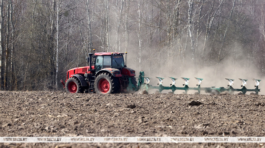 Что станет фундаментом для роста урожайности в этом году? Рассказали в Минсельхозпроде