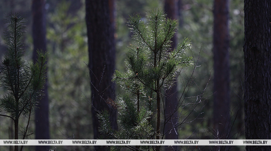 Фото из архива