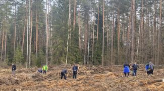 Фото пресс-службы Исполкома СНГ