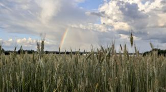 Фото из архива