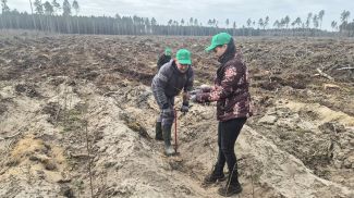 Фото Минтранса