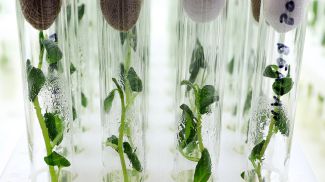 Фото из архива