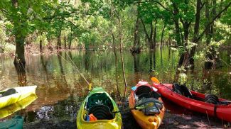 Фото из архива