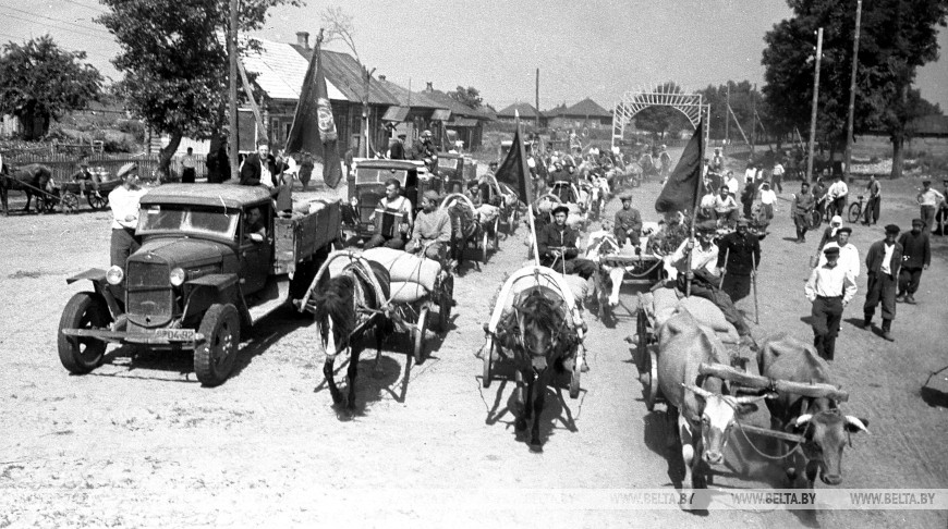 Массовая сдача хлеба, Минская область, 1949 год. Фото из архива