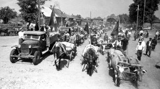 Массовая сдача хлеба, Минская область, 1949 год. Фото из архива