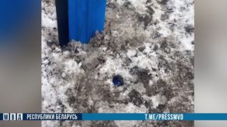 Скриншот видео МВД