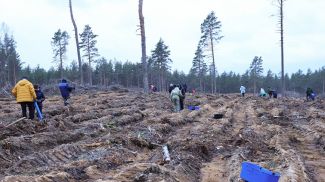 Фото Палаты представителей