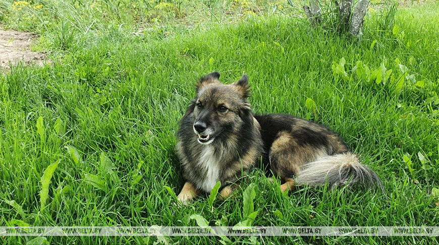 ���� �� ������