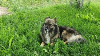 Фото из архива