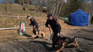 Фото колледжа МВД