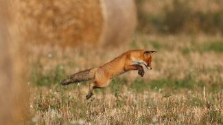 Фото из архива