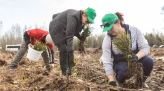 Фото пресс-службы ФПБ